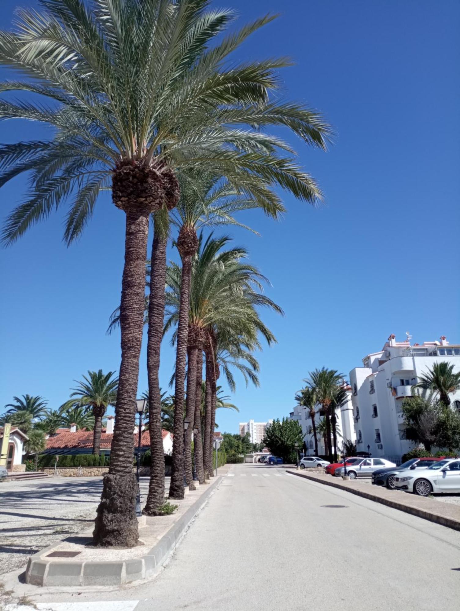 Alojamiento Con Piscina Y Chiringuito Denia Exterior foto